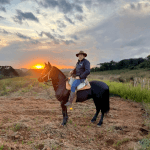 Descubra os cuidados essenciais com cavalos e veja dicas práticas para quem está começando nessa rotina, conforme orienta Altevir Seidel.